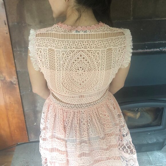 ALEXIS Sage Blossom Pink Embroidered Lace Floral Crochet Dress 4 6 / SMALL - Picture 3 of 3
